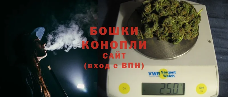 Бошки марихуана OG Kush  kraken tor  Каргополь  даркнет сайт 